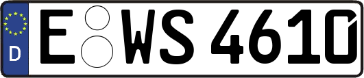 E-WS4610