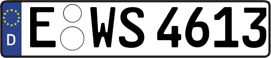 E-WS4613