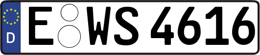 E-WS4616