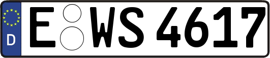 E-WS4617