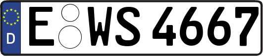 E-WS4667