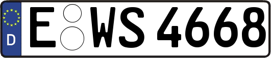E-WS4668