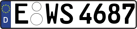 E-WS4687
