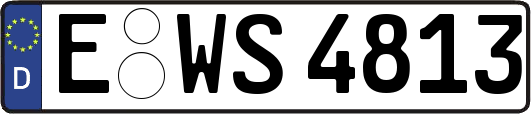 E-WS4813