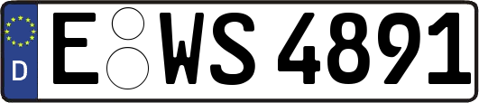 E-WS4891