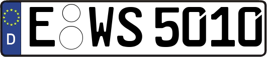 E-WS5010