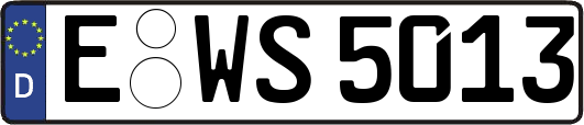 E-WS5013