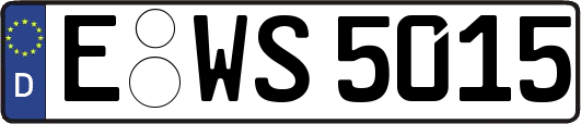 E-WS5015