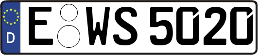 E-WS5020