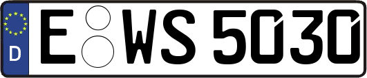 E-WS5030