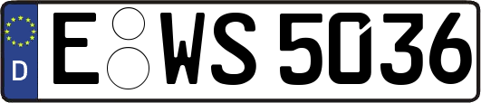 E-WS5036