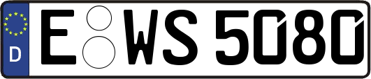 E-WS5080