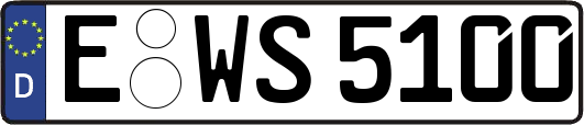E-WS5100