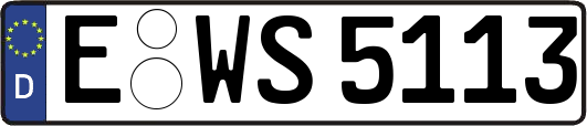 E-WS5113