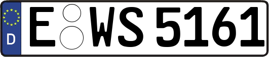 E-WS5161