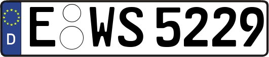 E-WS5229