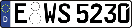 E-WS5230