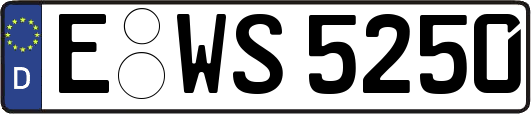 E-WS5250