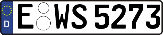 E-WS5273