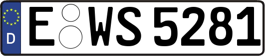 E-WS5281