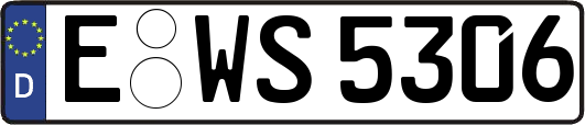E-WS5306