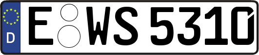 E-WS5310