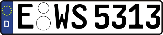 E-WS5313