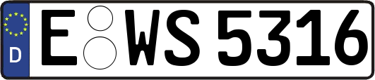 E-WS5316