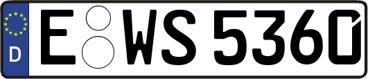 E-WS5360