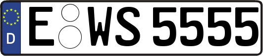 E-WS5555