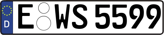 E-WS5599