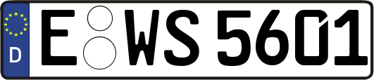 E-WS5601