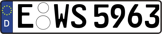 E-WS5963