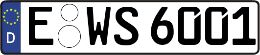 E-WS6001