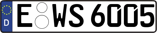 E-WS6005