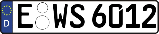 E-WS6012