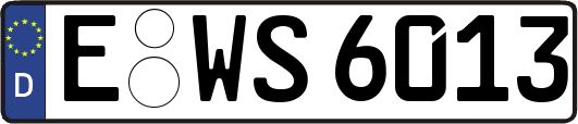 E-WS6013
