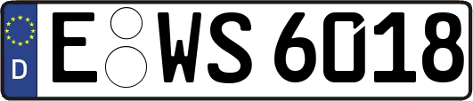 E-WS6018