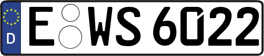 E-WS6022