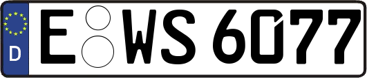 E-WS6077