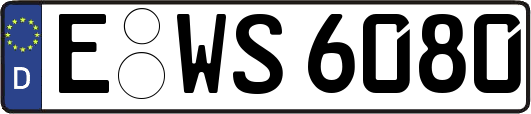 E-WS6080