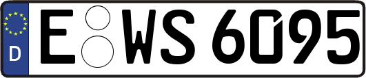 E-WS6095