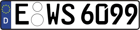 E-WS6099
