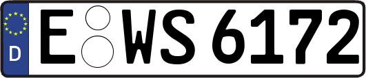 E-WS6172