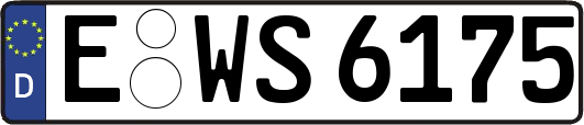 E-WS6175