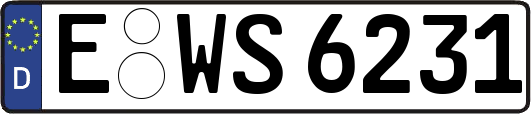 E-WS6231