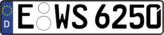 E-WS6250