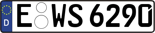 E-WS6290