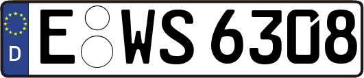 E-WS6308