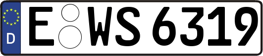 E-WS6319